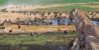 Национален парк Нгоронгоро