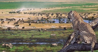 национален парк Нгоронгоро
